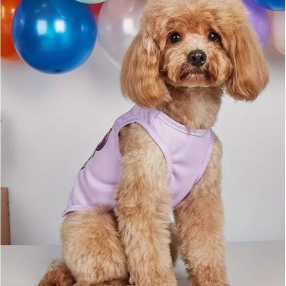 Bear Graphic T-Shirt Dog Cat Pet‎ Medium Shirt NWOT - Picture 3 of 4